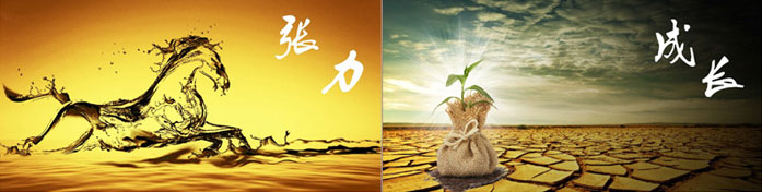 企業(yè)發(fā)展要學(xué)會取他人之長、補自己之短